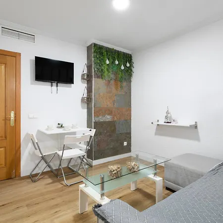 Apartaestudio Centrico En Alicante