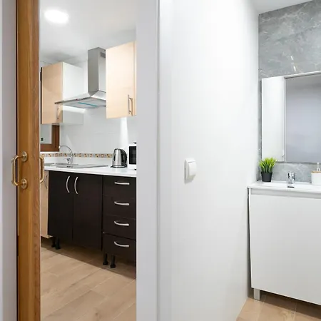 Daire Apartaestudio Centrico En Alicante