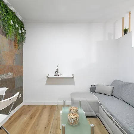 Daire Apartaestudio Centrico En Alicante